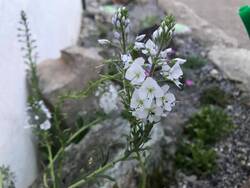 magerbeet24-1024x768.jpg