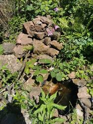 Teich mit Sandsteinpyramide