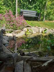 Unser neuer Teich.