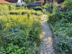 unser Garten/Ertragszone