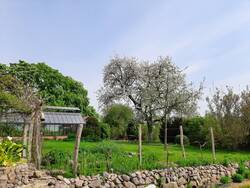 Weinberg mit Wildbienenhotel