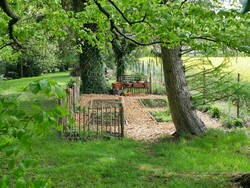 Bauerngarten im 2ten Jahr