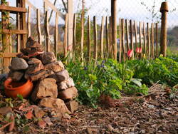 Kleiner Steinhaufen im Bauerngarten