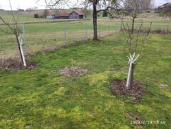 IMG_20240223_154650.jpg