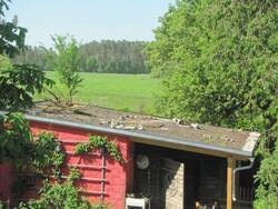 dachbegruenung07-1024x768.jpg