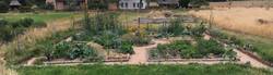 IMG_7131-1024x284.jpg