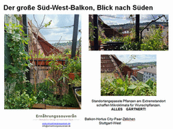 Südwestbalkon Richtung Süden.PNG