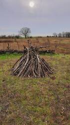 Holzhaufen und Totholzlaubmischrand