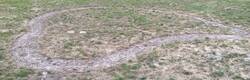 IMG_1213-1-1200x385.jpg