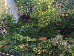 Oberer Garten mit noch etwas frühlingsdünner Pufferzone - Blick von der Dachgaube