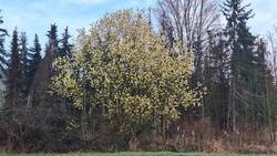 20240301_081640.jpg