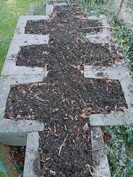 Kleines Hochbeet heute von oben. Erbsen wurden gestern gesät. Kohl und Gurke sollen folgen.