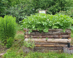 Garten formatiert 3.jpg