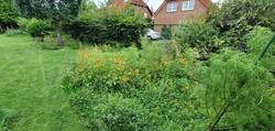 Die erste Blumenwiese, leider Baumarktmischung.