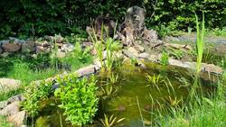 Teich 2022