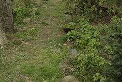 _MG_1206.JPG (398.53 KiB) 7288 mal betrachtet Die Heidelbeerallee von oben.