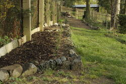 _MG_1226.JPG (395.27 KiB) 7288 mal betrachtet Zwiebeln, Möhren.