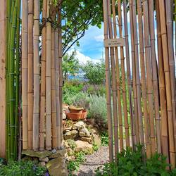 Eingang zum Garten.  Unbehandelte Bambusrohre von einer Bekannten aus dem Garten