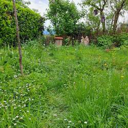 Blick auf Benjeshecke, Totholzstamm mit Bohrlöchern und obendrauf Vogeltränke Kirschbäumchen links und