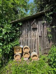 Wildbienen-Nisthilfen an der Gartenhütte.