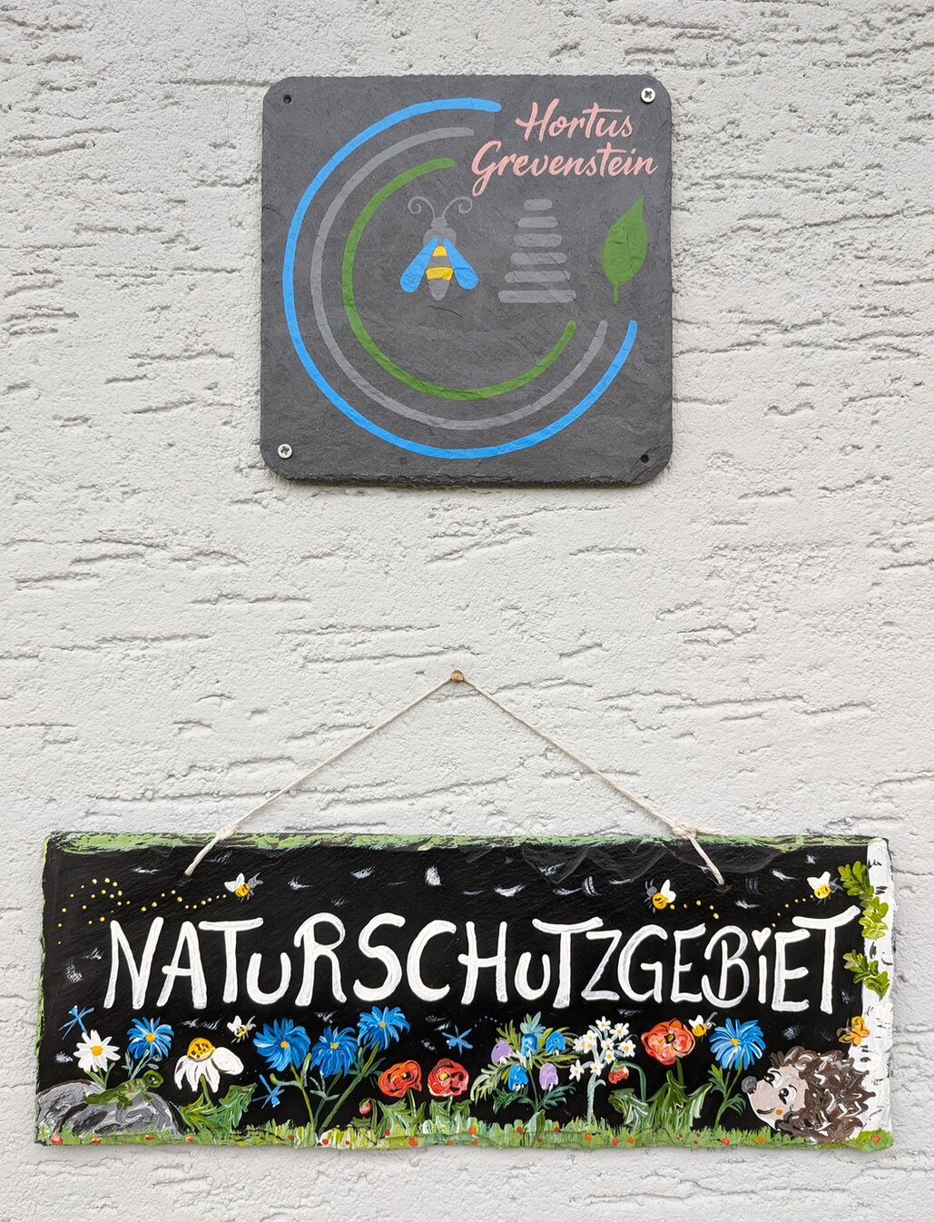 Bild