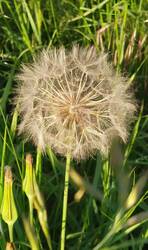 IMG_20240604_195622.jpg (377.42 KiB) 16242 mal betrachtet Filigrane Kunstwerke