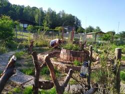 IMG-20230219-WA0025.jpg (390.38 KiB) 9275 mal betrachtet Quecke, Hahnenfuß & Co. rauspulen