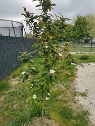 IMG_20240422_120054.jpg