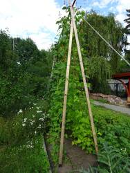 bohnengestell_1.jpg