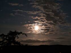 PXL_20240716_215455899.NIGHT_Ausschnitt.jpg