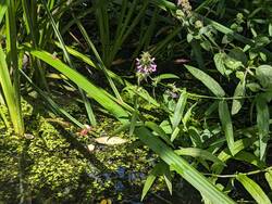PXL_20240805_110411383.jpg