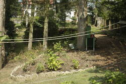 Die Herbsthimbeeren kommen hier nicht in die Puschen. Im Schatten an der Totholzhecke ist der Boden feuchter. Für hier vorn will ich Brombeeren vermehren.