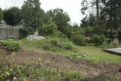 _MG_2290.JPG (393.85 KiB) 7198 mal betrachtet Hier soll perspektivisch eine Allee aus ca. 8 Obstbäumen entstehen.