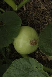 _MG_2366.JPG (235.26 KiB) 14016 mal betrachtet 3