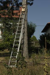 Das Positive aus invasiven Neophyten machen: Fledermauskasten aus einem Workshop in Lenzen.