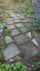 DSC_2955.JPG