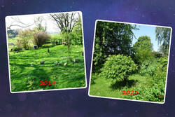 Garten.jpg