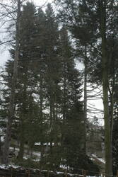 _MG_2894.JPG (398.53 KiB) 5899 mal betrachtet avant