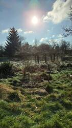 IMG_20250114_080704_577.jpg