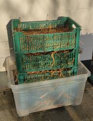 20220119000004(1).jpg