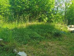 IMG_20230612_145139.jpg