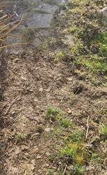 IMG_20250304_100115.jpg