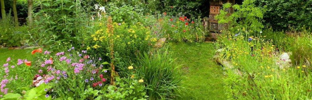Der DreiZonenGarten im Video erklärt