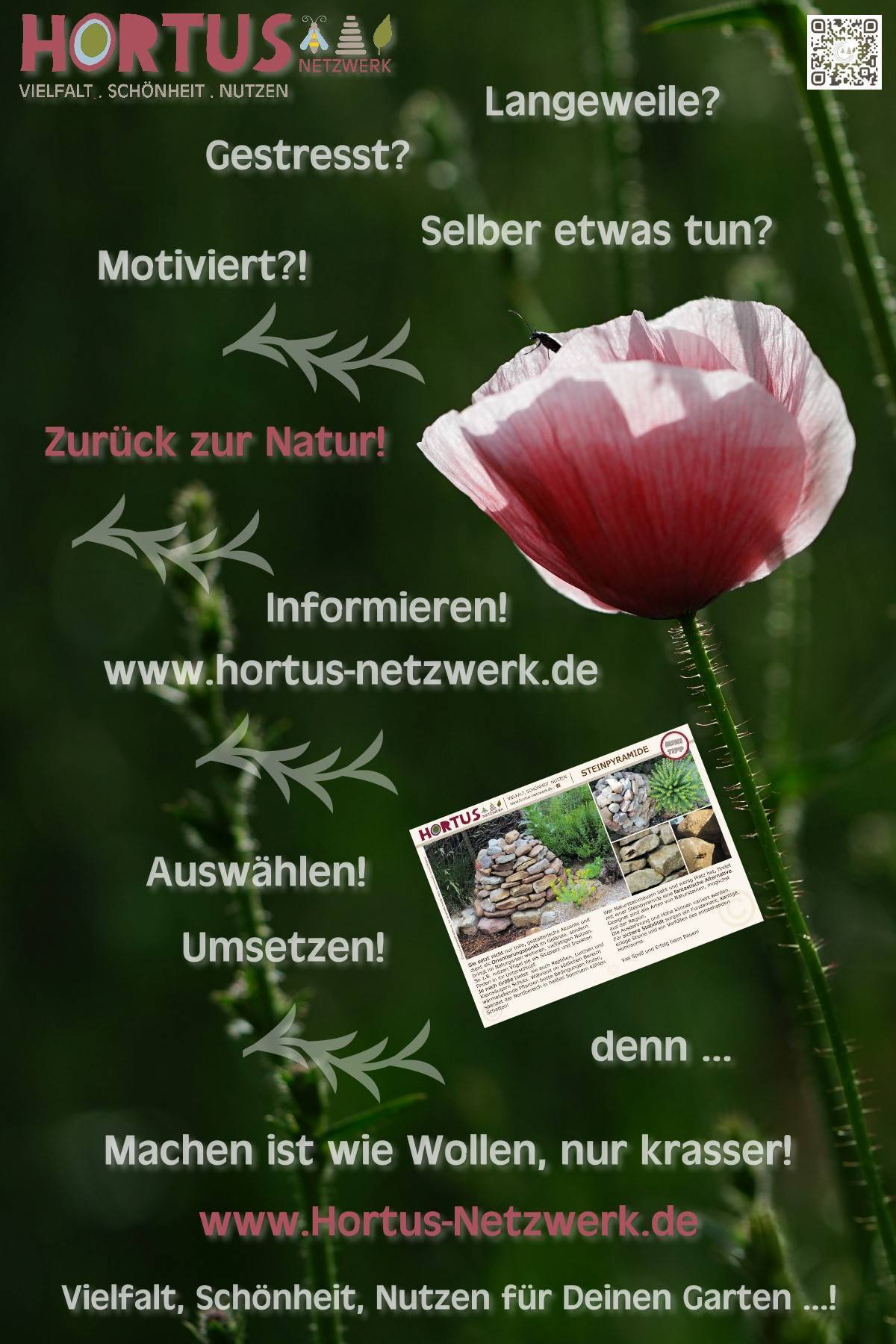You are currently viewing Vielfalt, Schönheit, Nutzen für Deinen Garten …!
