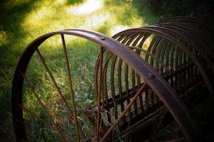 Read more about the article Neues beim Eintragen von Gärten und Horti im Hortus-Netzwerk