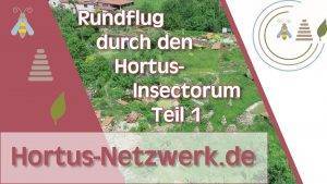 Read more about the article Neues Video auf YouTube Online – Rundflug über den Hortus-Insectorum Teil 1