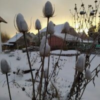 IMG_20210914_211719 