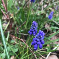 Frühling