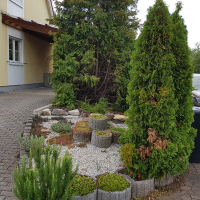 Anfang2 