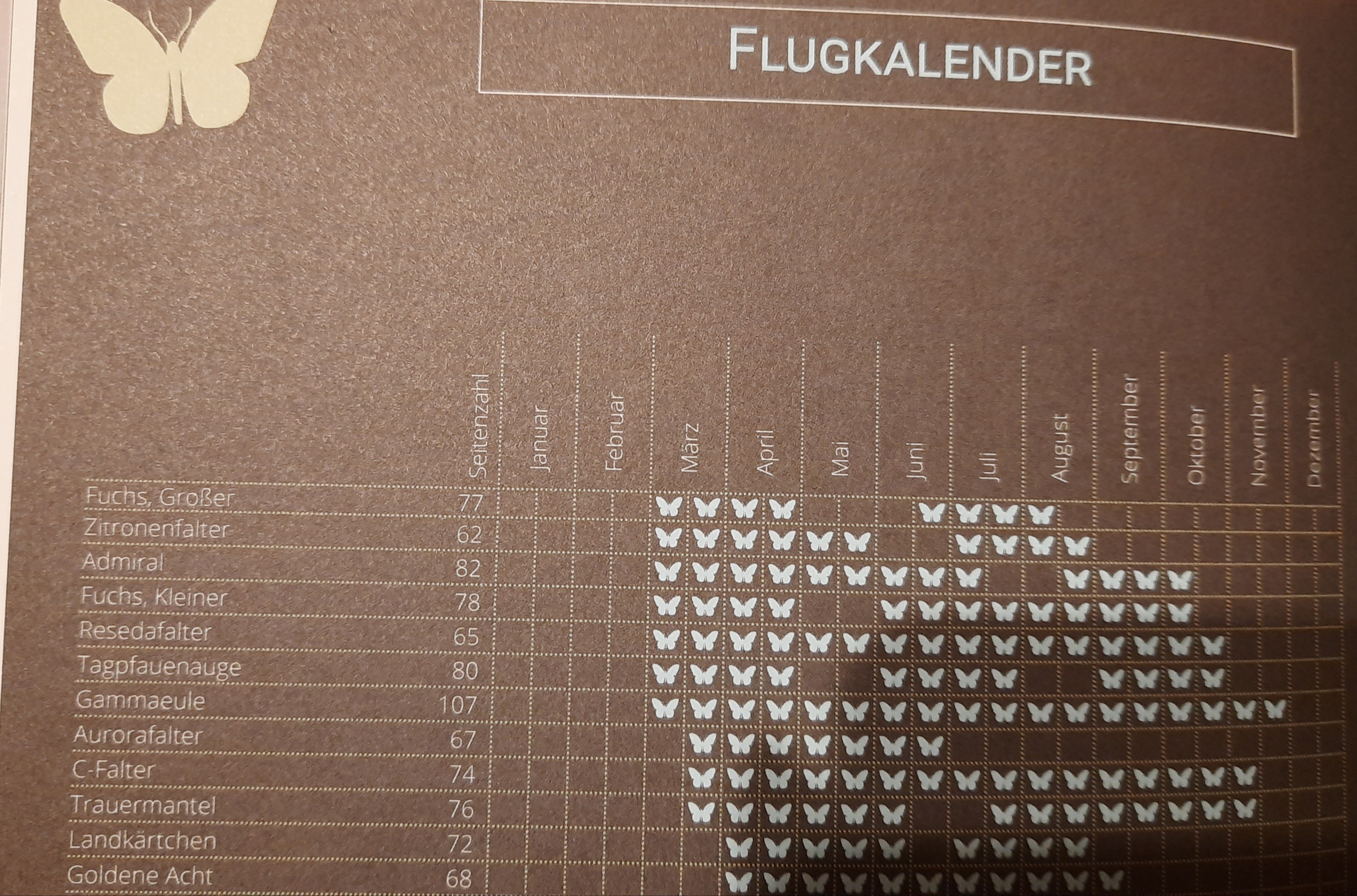 Flugkalender